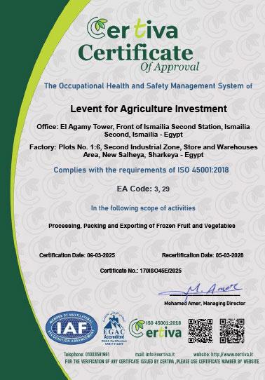 ISO 45001:2018