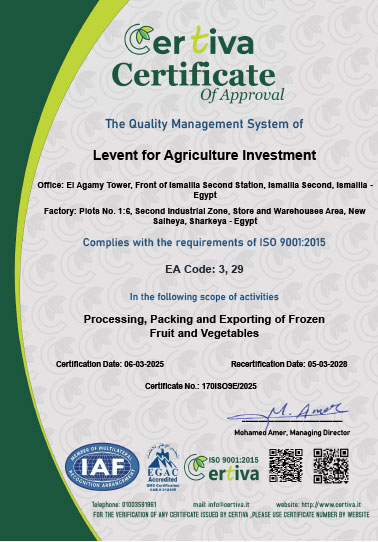 ISO 9001:2015