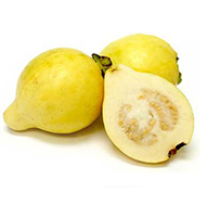 Guava