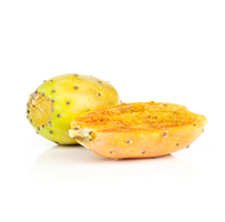 Prickly Pear