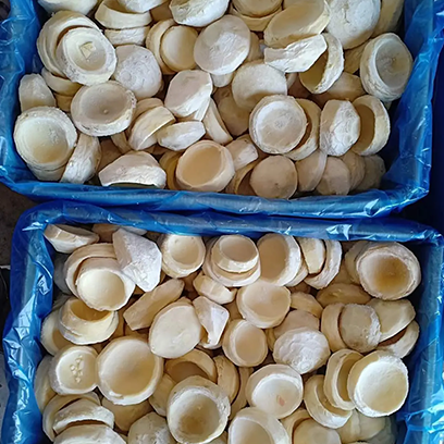 خرشوف - صورة 3