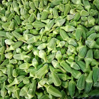 بامية - صورة 4