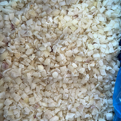 بصل - صورة 2
