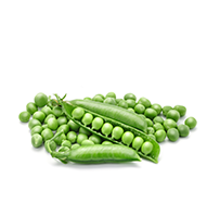 Dried Peas