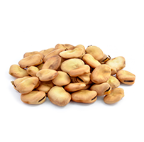 Fava Beans