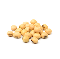 Soybeans